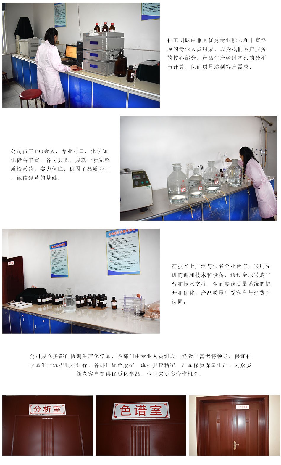 专业团队.jpg